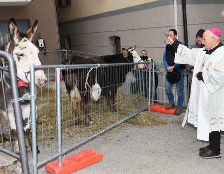 La benedizione degli animali