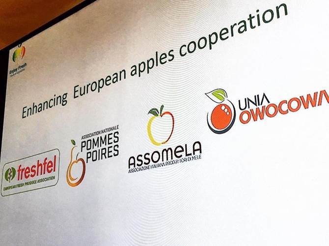 Assomela in Polonia Il 12 e 13 giugno Assomela, assieme ai colleghi dell’Associazione Nazionale mele e pere di Francia, ha visitato la regione del Grojec, a sud di Varsavia, dove si producono circa la metà delle mele polacche. Con l’occasione si sono potuti confrontare con rappresentanti delle maggiori associazioni del settore melicolo polacco le principali criticità della situazione produttiva attuale, le prospettive future e discutere il ruolo dell’aggregazione e delle Organizzazioni di Produttori come strumento di pianificazione ed indirizzo per i produttori.