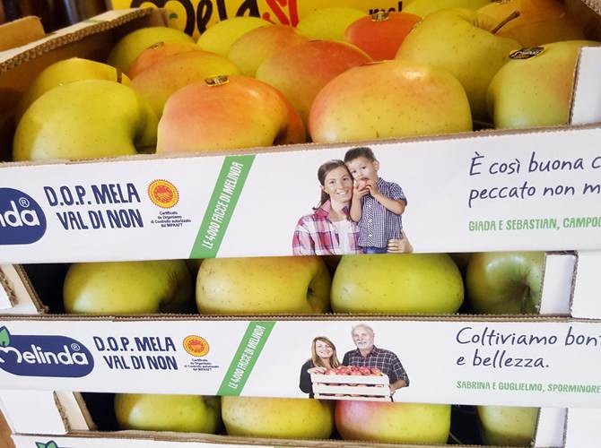 In tutti i mercati le 4000 facce di Melinda Saranno 4.000.000 le confezioni con i volti dei soci del Consorzio, che ogni giorno coltivano la terra con passione, rispetto e dedizione, protagonisti dei packaging delle mele dal bollino blu, a garanzia della qualità, unicità e trasparenza di Melinda.