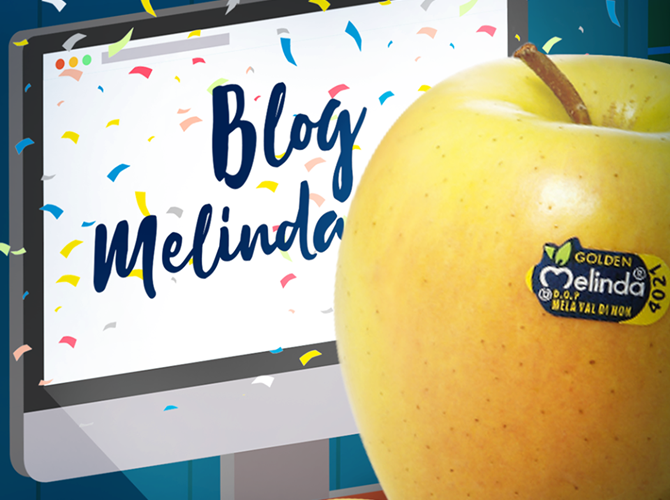 E' online il nuovo blog di Melinda È online da poche settimane il nuovissimo blog firmato Melinda. Uno spazio dedicato a notizie, curiosità e informazioni sul mondo delle mele dal bollino blu, sullo straordinario territorio in cui vengono coltivate, ma anche su temi trasversali quali la sostenibilità, il benessere e l’enogastronomia.