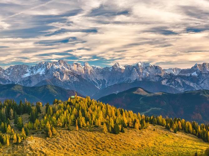 Marchi territoriali e marchi di qualità Giovedì 21 giugno alle 18.00 presso Coldiretti Trentino in via Kufstein 2 a Spini di Gardolo