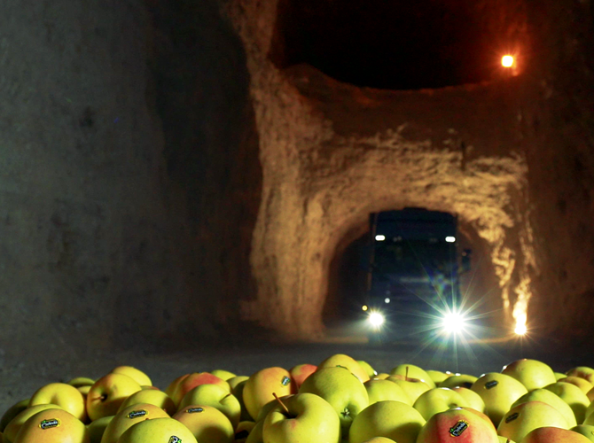 Al via i lavori per il Golden Theater di MondoMelinda Iniziata la costruzione della futuristica struttura dove turisti e ospiti potranno vivere un emozionante viaggio alla scoperta dei segreti dell’unica mela custodita sotto terra. Inaugurazione prevista nel corso della prossima estate.