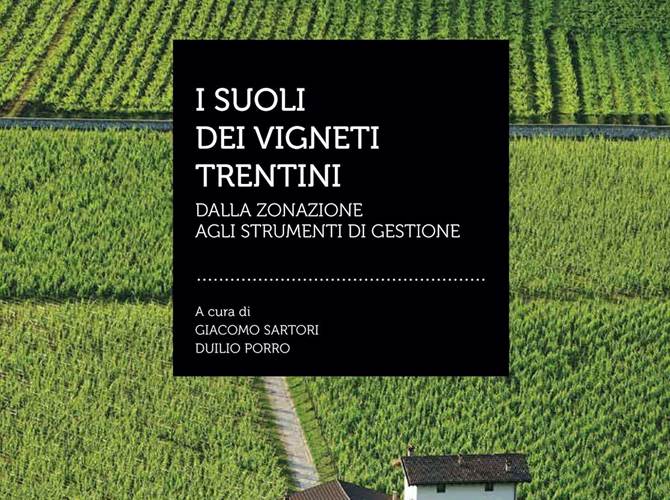 Particolare della copertina del libro