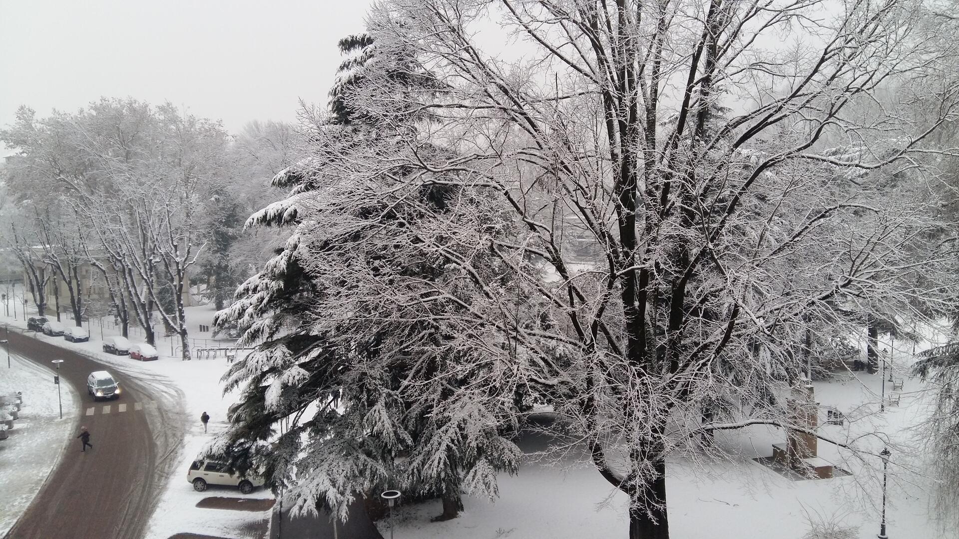 Molto freddo nel fine settimana Nel fine settimana è previsto l’arrivo di aria molto fredda proveniente dall’Europa nordorientale che determinerà, dal pomeriggio di sabato e per domenica, un generale calo delle temperature di circa 8-10 gradi, con freddo vento da nord anche in valle.