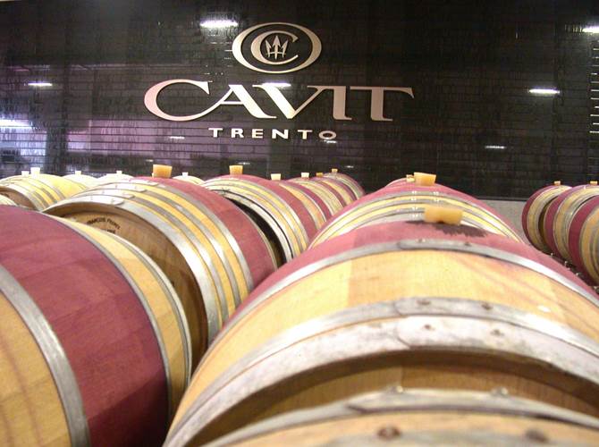 L’assemblea di Cavit approva il bilancio di esercizio Si chiude un anno positivo all'insegna del consolidamento e dell'elevato livello di servizio verso i soci Viticoltori, remunerati con soddisfazione. Continua l'impegno per l'innovazione, la sostenibilità e la valorizzazione delle tipicità del territorio.Il presidente Lorenzo Libera: soddisfatti dei risultati raggiunti che confermano il totale impegno nei confronti dei Soci Viticoltori.La presidente della Cooperazione Trentina Marina Mattarei: formazione e attenzione ai giovani contro il rischio di omologazione.L'ass. Gulia Zanotelli: l'importanza di fare sistema