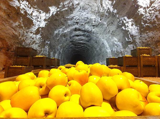 La nuova campagna Tv di Melinda promuove il valore di una sostenibilità autentica Dal 17 ottobre, per sei settimane, Melinda sarà in tv e sul web con un nuovo spot che per la prima volta sposta l’attenzione dal prodotto al “fare concreto” nel rispetto dell’ambiente.Un parallelismo tra una moderna e attenta consumatrice e gli agricoltori del territorio della Val di Non, dove passione e tradizione generano buoni frutti.