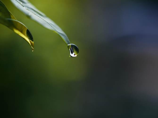 Consorzi irrigui, Cooperfidi e Casse Rurali Trentine, l’alleanza porta buoni frutti   Ad un anno dal Protocollo, il bilancio è positivo, sia in termini di adesioni, sia sotto il profilo finanziario (3,7 milioni di finanziamento già liquidati).