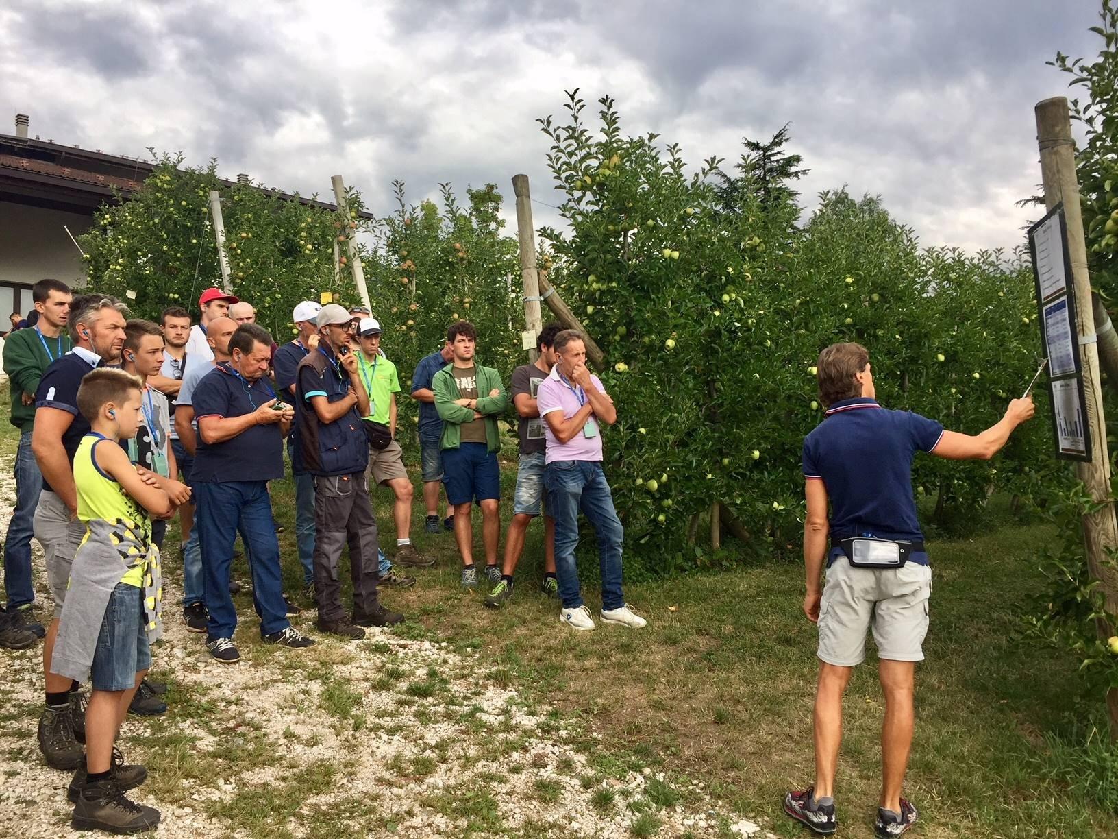 Proseguono gli incontri estivi organizzati dalla Fondazione Edmund Mach per aggiornare il mondo agricolo sulle novità della sperimentazione.  Dopo il focus nei giorni scorsi sulla viticoltura biologica a San Michele con i suoi 170 partecipanti, porte aperte a Maso Part e Denno con rispettivamente 350 e 200 frutticoltori presenti, giovedì 22 agosto è la volta di Maso Maiano: l’appuntamento è fissato per le ore 8.30.