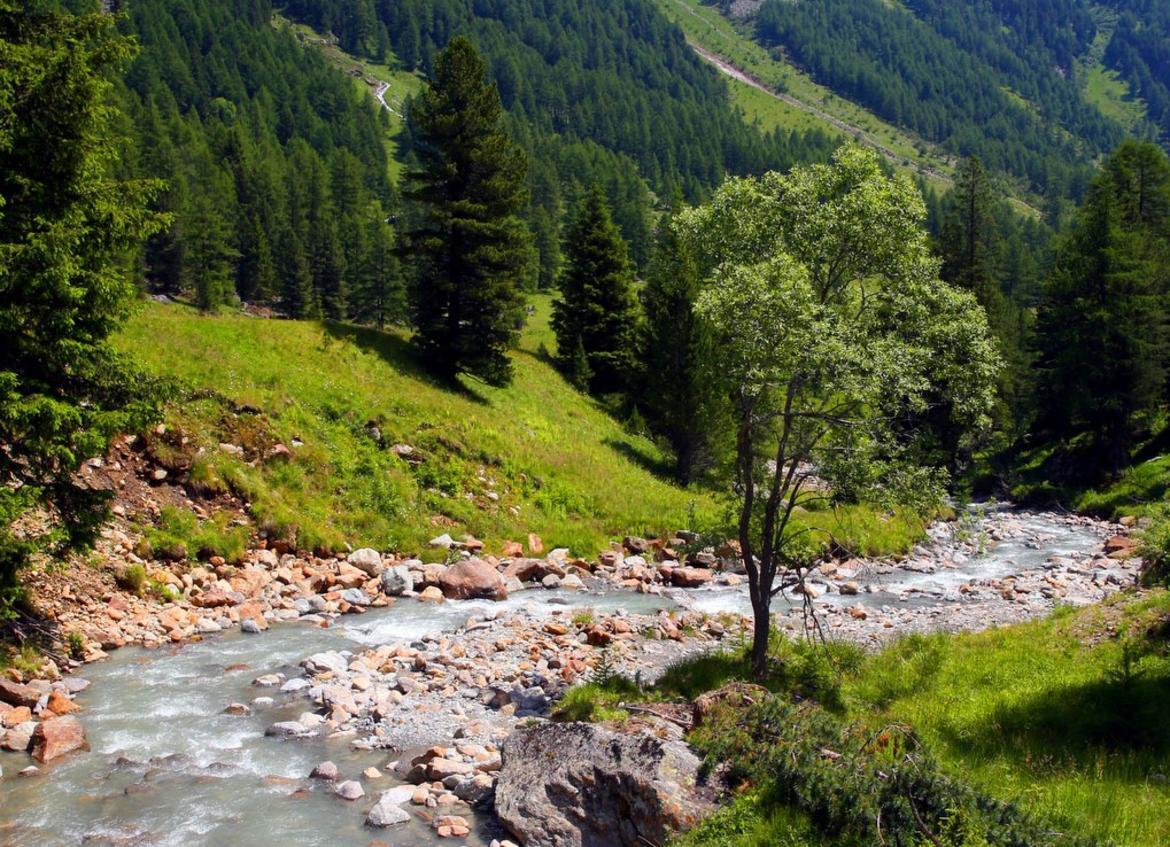 Tonina: acqua, un bene prezioso per il Trentino Il pensiero del vicepresidente della Provincia autonoma di Trento, anche assessore all'urbanistica e all'ambiente, Mario Tonina, in occasione della Giornata mondiale dell'acqua, ricorrenza istituita dalle Nazioni Unite nel 1992, prevista all'interno delle direttive dell'Agenda 21, risultato della conferenza di Rio.