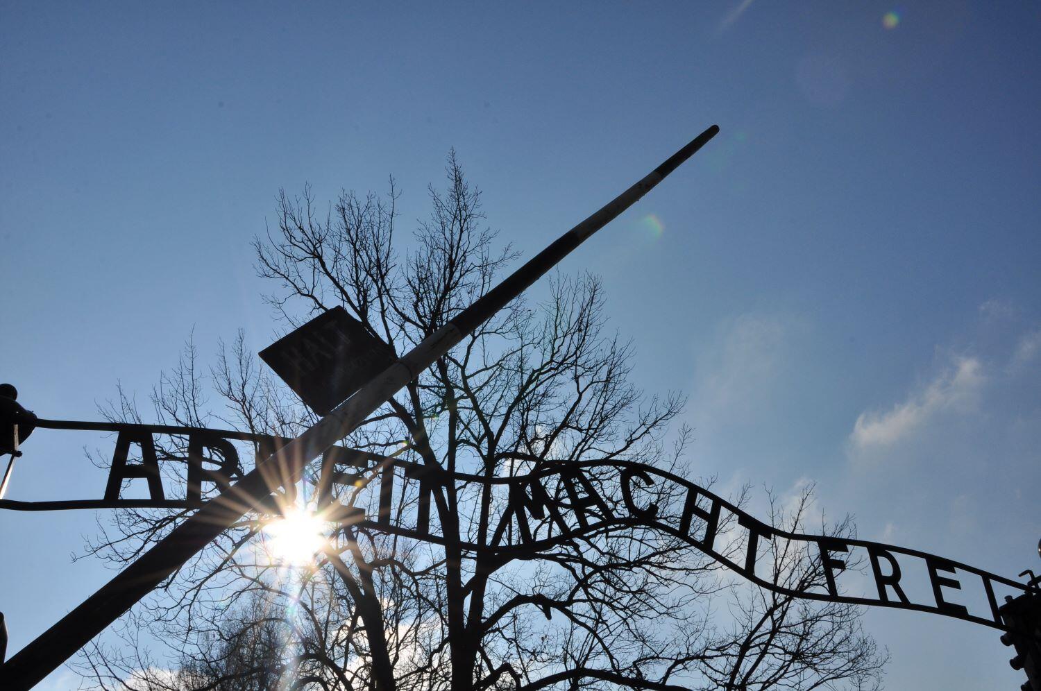 “Living Memory”, il primo Festival della Memoria dal 19 al 27 gennaio Il Treno della Memoria è fermo a causa della pandemia, ma la memoria continua a viaggiare. E la tappa principale è a Trento dove - dal 19 al 27 gennaio - si svolgerà “Living Memory” il primo Festival della Memoria creato dall'associazione "Terra del Fuoco Trentino” con il contributo della Provincia autonoma di Trento e della Fondazione Museo storico.