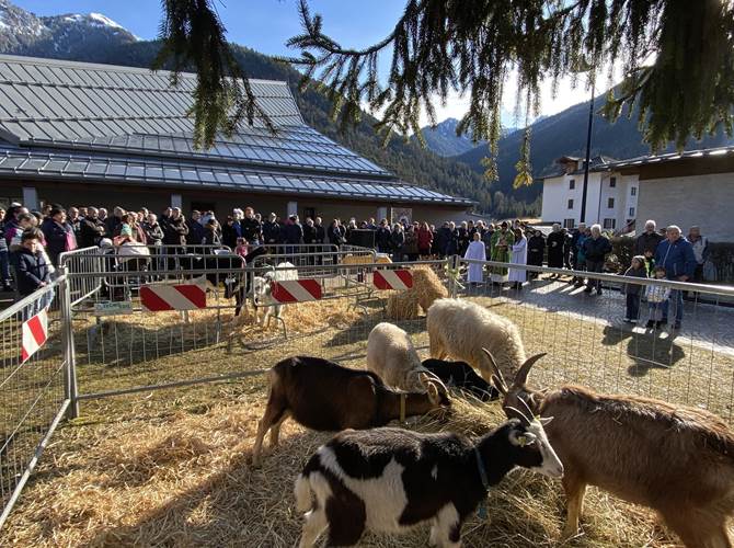 Gli allevatori della valle del Chiese riuniti ieri a Bondo per la festa dedicata a Sant’Antonio Abate.