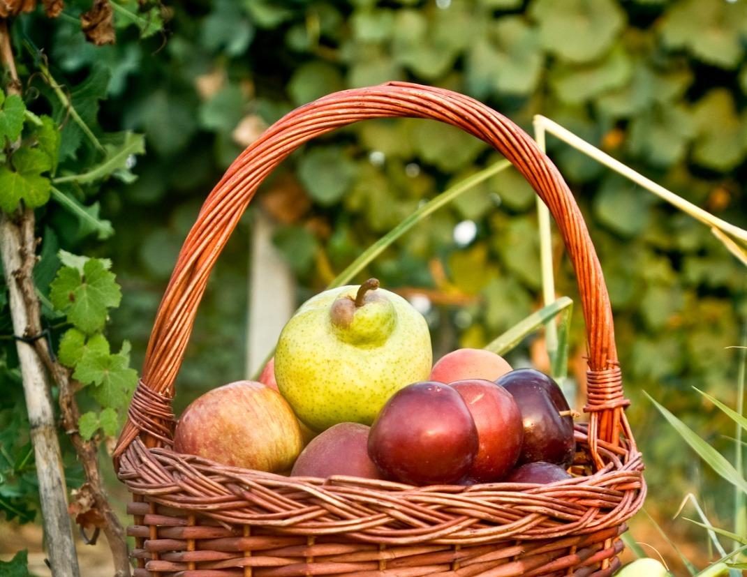 Marchio Qualità Trentino anche per aceti e sidri di frutta Aceti e sidri di frutta entrano a far parte del Marchio Qualità Trentino. Lo ha deciso la Giunta provinciale, su proposta dell'assessore all’agricoltura, foreste, caccia e pesca Giulia Zanotelli, approvando il Disciplinare di produzione.