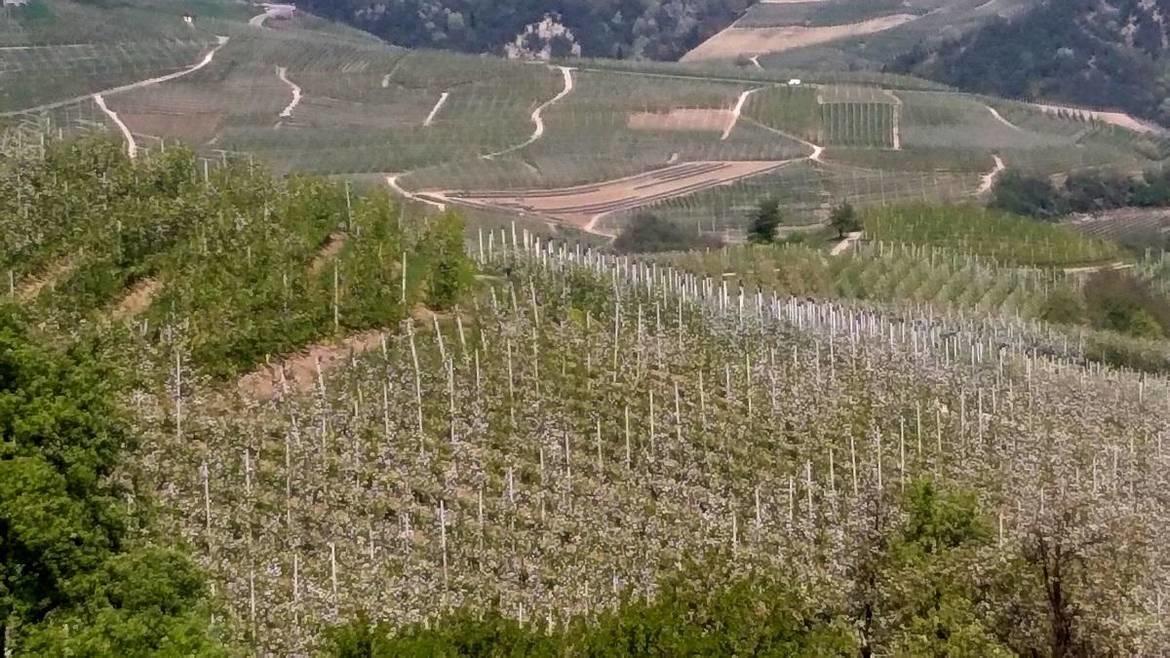 Ottenere il rilascio di una nuova concessione per l'irrigazione di una coltivazione privata sarà più semplice La modifica chiesta (anche) dalla Federazione Provinciale dei Consorzi Irrigui e di Miglioramento Fondiario.