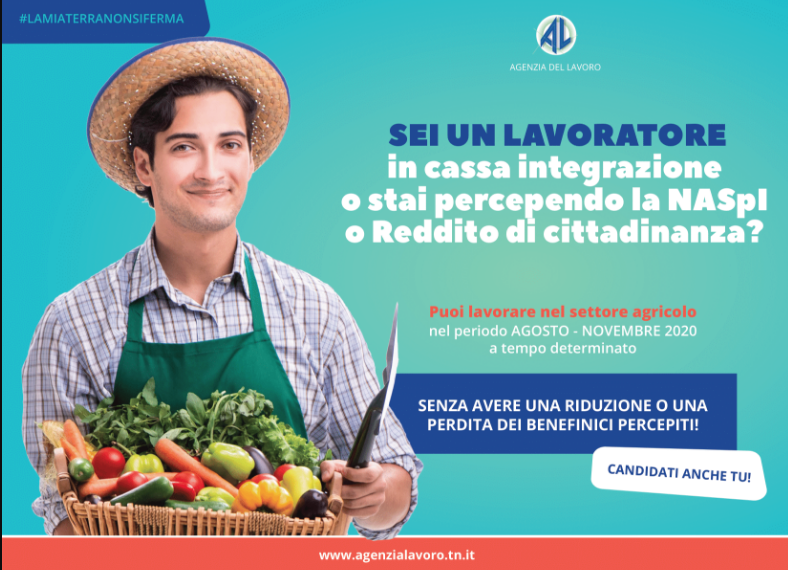 Vuoi lavorare in agricoltura? Un’opportunità anche per i cassaintegrati e per i percettori di sostegni al reddito Continua la campagna realizzata da Agenzia del Lavoro, in collaborazione con le Associazioni di categoria dell’Agricoltura (Confederazione Italiana Agricoltori, Confagricoltura, Coldiretti, Associazione contadini Trentini) e l’Ente bilaterale agricolo, finalizzata alla raccolta di candidature per lavorare nel settore agricolo nel periodo agosto- novembre 2020.