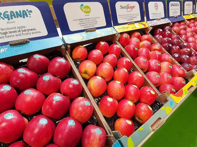 Nuove varietà Melinda: i primi riscontri sono eccellenti Superano le aspettative i risultati della campagna di vendita per le nuove varietà Melinda, pronte a incontrare i gusti dei consumatori moderni e allo stesso tempo offrire ai produttori una migliore stabilità economica.