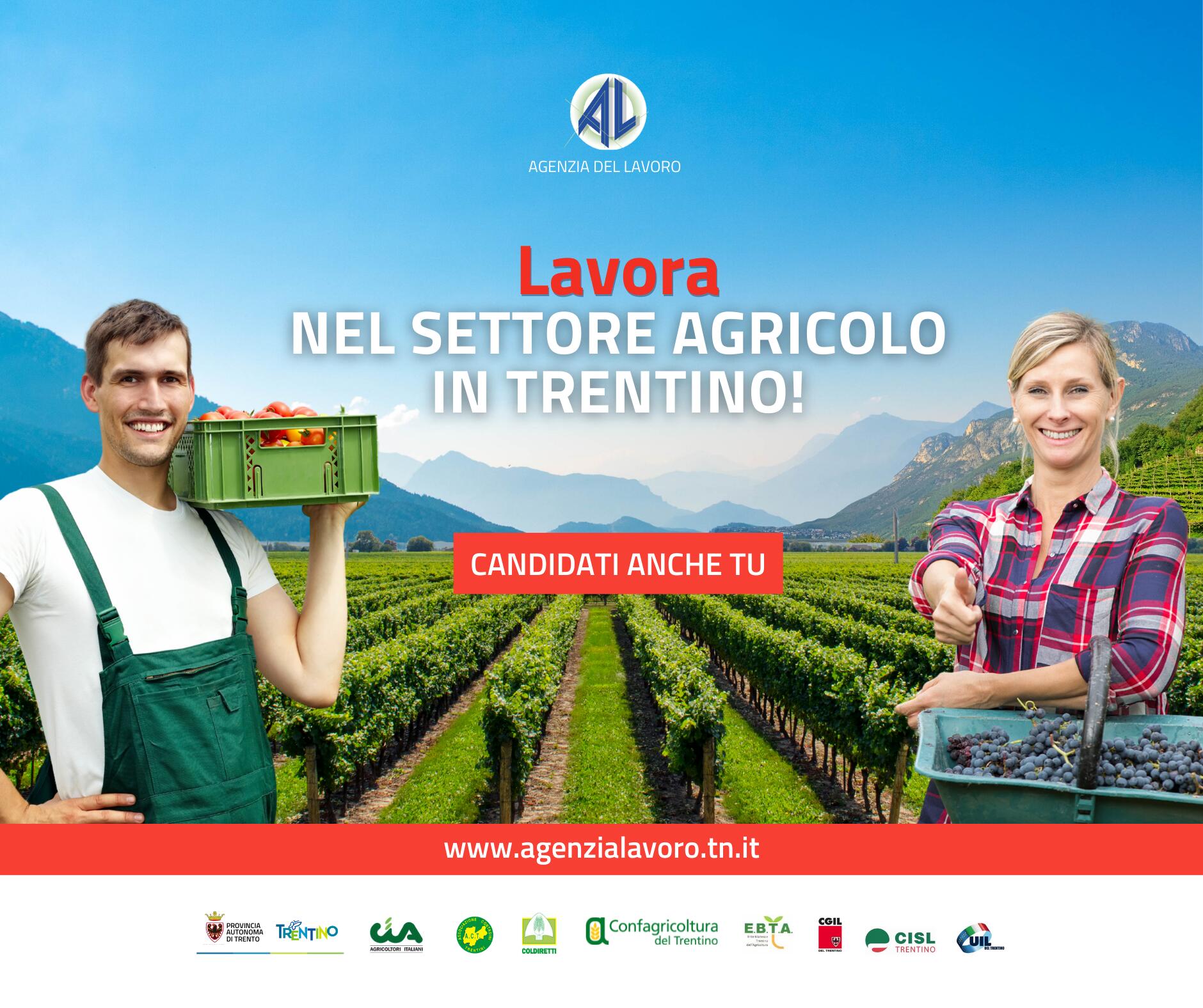 Lavora nel settore agricolo questa estate: aperta la raccolta delle candidature Agenzia del Lavoro ha avviato l’annuale raccolta di candidature per il settore agricolo. Quest’anno, inoltre, sarà messa a disposizione dei lavoratori una specifica formazione dedicata alla sicurezza e alle principali tecniche di lavoro in campagna. Si tratta nello specifico di un corso di formazione a voucher, organizzato dall’Ente bilaterale agricolo Trentino e dalle associazioni di categoria degli agricoltori e pubblicato sul portale FormazioneXTe, a cui il lavoratore può iscriversi dando la disponibilità direttamente sul form di candidatura.