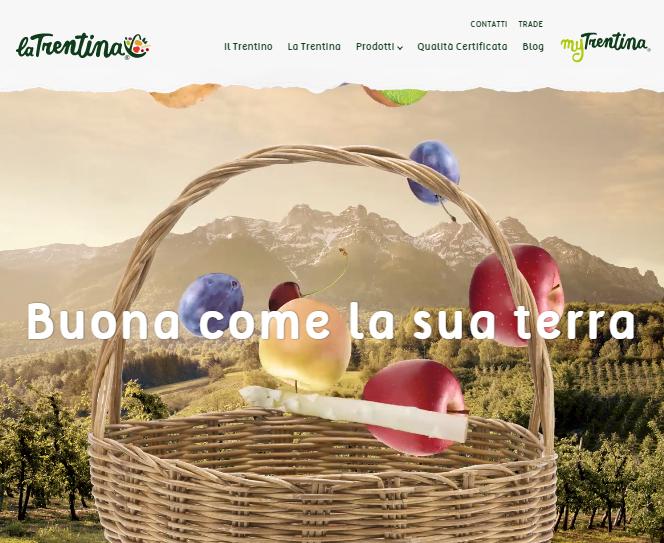 La Trentina presenta il nuovo sito Al nuovo sito si affiancherà presto la piattaforma myTrentina, uno spazio digitale che offrirà agli utenti servizi ed esperienze personalizzate, legate al territorio, ai suoi sapori e ai suoi percorsi.