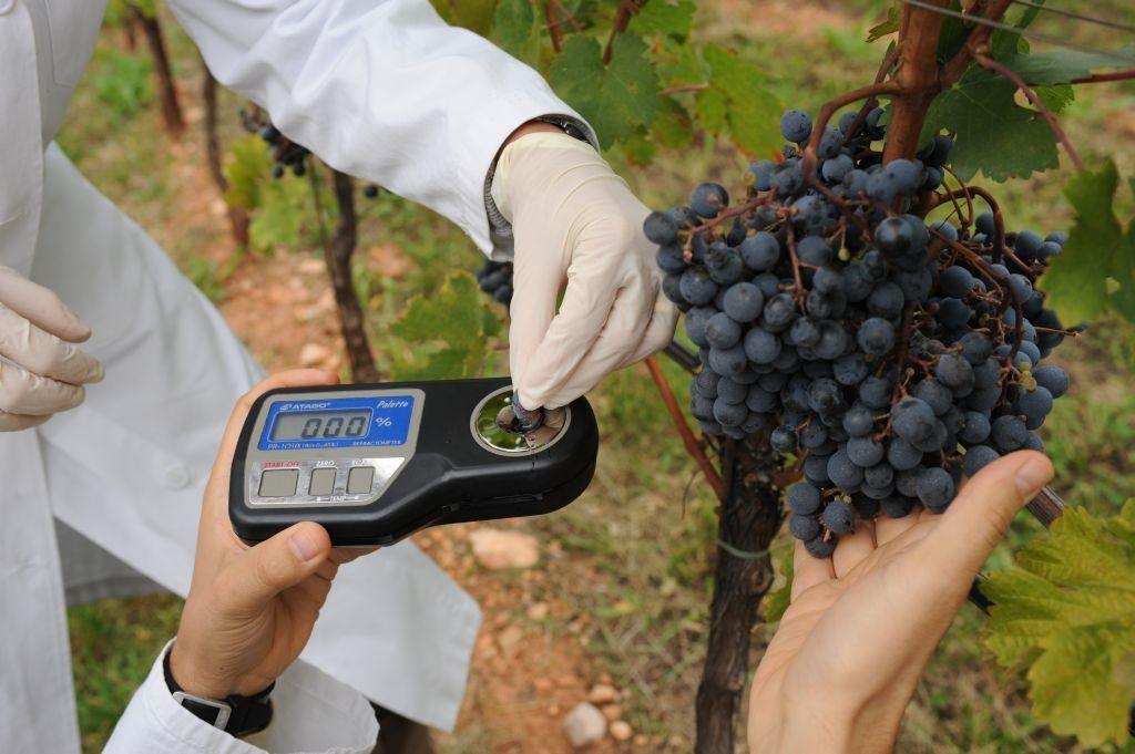 Martedì 10 dicembre 12^ Giornata tecnica della vite e del vino E’ stata una vendemmia con una partenza difficile a causa dei problemi di sanità delle uve per via delle piogge primaverili, ma poi si è risolta positivamente con risultati particolarmente apprezzabili soprattutto per le basi spumante e, più in generale, una buona acidità e freschezza dei vini.