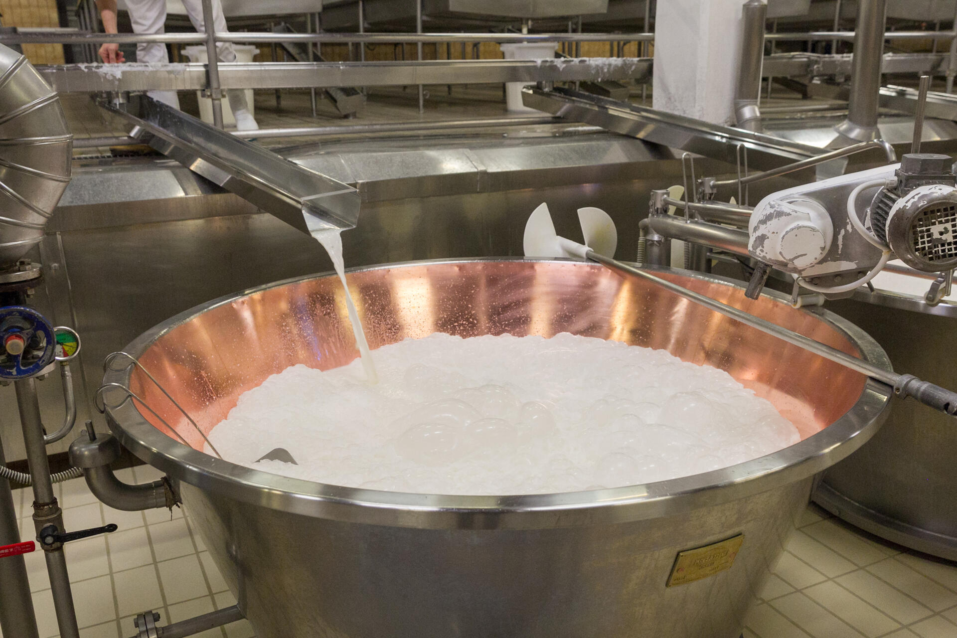 Giornata del latte. La Cooperazione rivendica il suo Raggiunti 7 milioni di utenti grazie a campagna di comunicazione. Proviene dalle cooperative più del 60% del latte raccolto e circa il 70% del mondo dei formaggi Dop.
