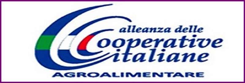 Biologico, Alleanza Cooperative: “L’auspicio è che il Disegno di legge passi ora alla Camera dei deputati e venga finalmente approvato” commenta il Coordinatore del Settore Biologico Francesco Torriani.