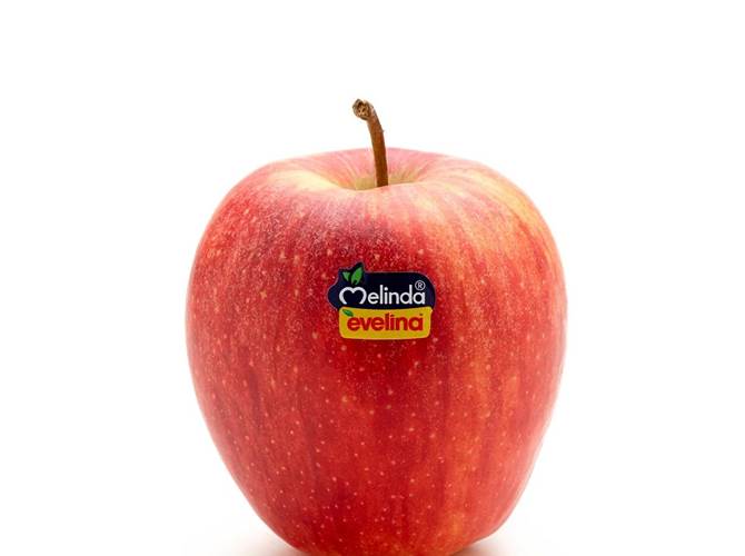 Evelina, picco di vendita per la prima Club di Melinda A partire da metà febbraio boom di vendite per la prima varietà Club di Melinda dall’inconfondibile colore rosso aranciato fiammato e un gusto perfettamente bilanciato.