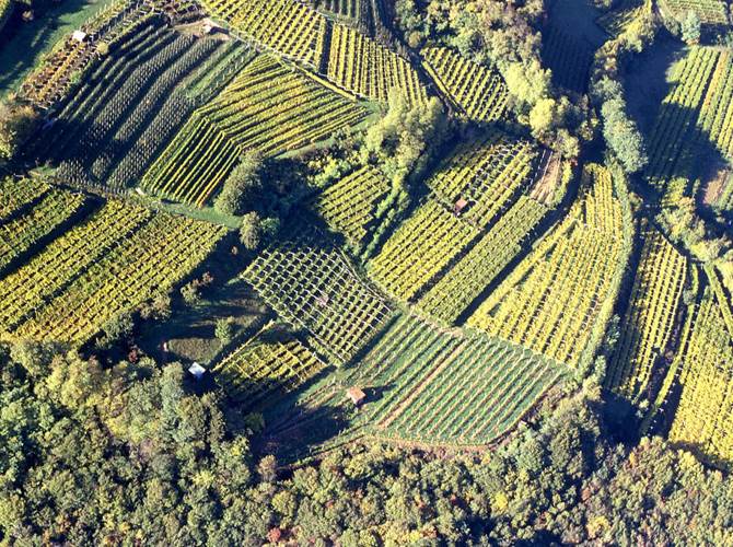 Tutela delle acque: accordo con il Consorzio Vini del Trentino L’acqua è uno degli elementi alla base della nostra vita. L’acqua è un bene sempre più prezioso perché limitato, i cui consumi sono in costante aumento.