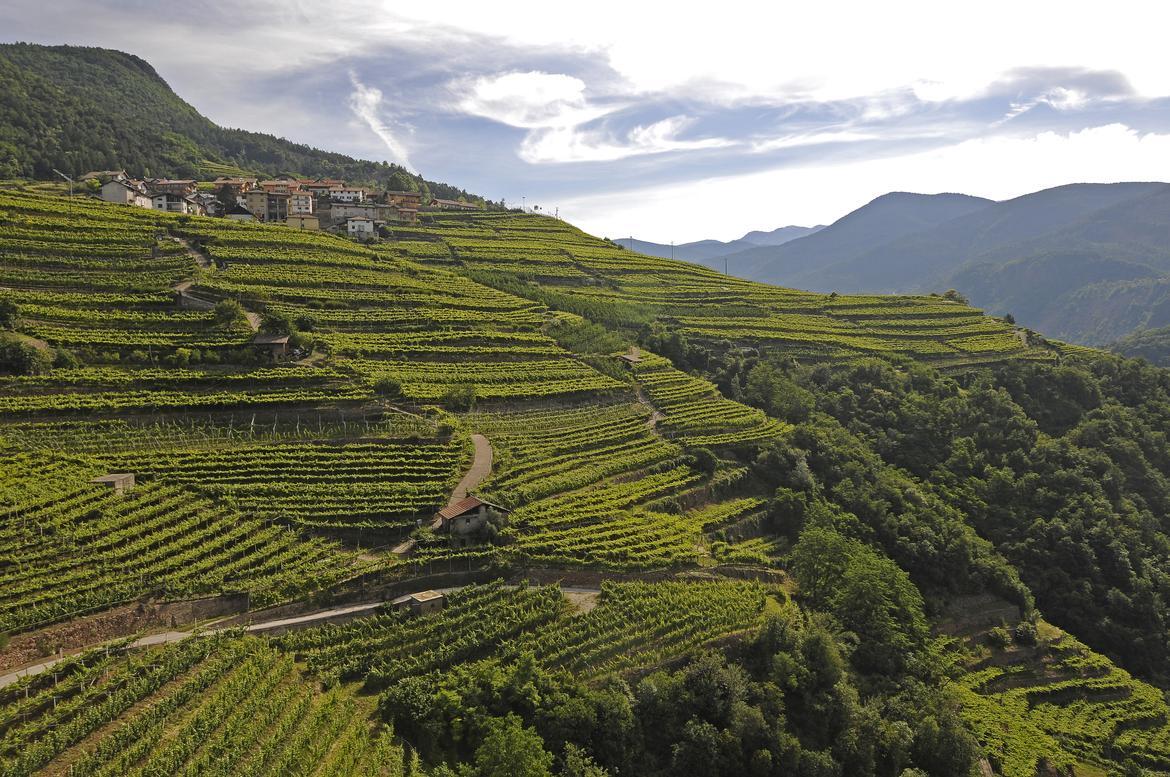 Paesaggi rurali storici: triplo riconoscimento per il Trentino Il paesaggio rurale dei "Vigneti terrazzati della Valle di Cembra", che rappresenta il massimo della "viticoltura eroica", il "Sistema agricolo terrazzato della Val di Gresta", esempio di agricoltura sostenibile, e gli "Alti pascoli della Lessinia" fra Trentino e Veneto, che incantano per i paesaggi lunari, fanno ufficialmente parte, da pochi giorni, del Registro nazionale dei paesaggi rurali storici.