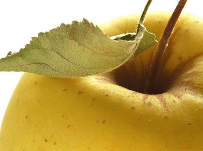 Gruppo di contatto mela Si è tenuto a Lerida, Spagna, lo scorso giovedì 7 giugno, il gruppo di contatto mela tra Italia, Francia e Spagna. L’iniziativa si inserisce in una consolidata collaborazione tra i Ministeri dell’Agricoltura dei tre paesi, che prevede incontri preparatori per alcuni settori produttivi, tra cui le mele.