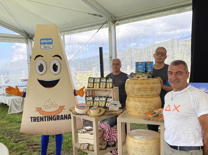 Trentingrana “rinasce” con uno stagionato a 30 mesi e nuove confezioni per i formaggi Lo hanno chiamato “rinascimento Trentingrana”. Il post-lockdown vede il consorzio dei formaggi trentini rilanciare sui prodotti, con un grana da gourmet, e sul packaging, ovvero le confezioni dei formaggi cambiano per catturare meglio l’attenzione dei consumatori. Con l’aiuto delle neuroscienze.Stamani, con un evento organizzato a malga Juribello, al cospetto delle Pale di San Martino, le novità sono state presentate alla stampa nazionale e alla Gdo.Trentingrana annuncia la commercializzazione unitaria di tutti i prodotti (grana, burro e formaggi tradizionali) in vigore dal primo gennaio, e a breve la decisione sulla concentrazione del confezionamento in un unico stabilimento.