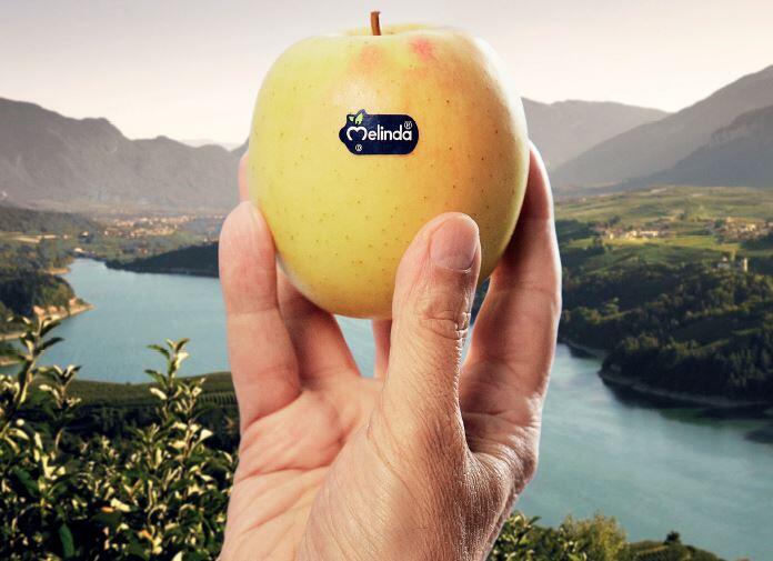 Melinda si conferma marca leader nel settore ortofrutta Il Consorzio della Val di Non conquista il primo posto nella classifica di settore nell’indagine dell’Istituto Tedesco Qualità e Finanza sulle aziende con il miglior rapporto qualità-prezzo secondo il giudizio dei consumatori italiani.