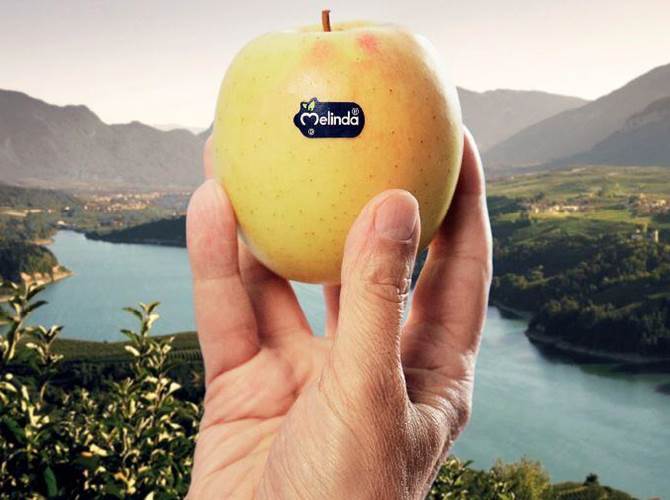 Melinda si conferma marca leader nel settore ortofrutta Il Consorzio della Val di Non conquista il primo posto nella classifica di settore nell’indagine dell’Istituto Tedesco Qualità e Finanza sulle aziende con il miglior rapporto qualità-prezzo secondo il giudizio dei consumatori italiani.