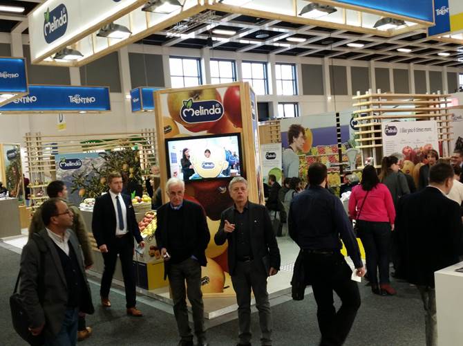 Melinda e La Trentina insieme a Fruit Logistica La fiera sarà l’occasione per incontrare i buyer internazionali e i club delle nuove varietà. In vetrina anche i prodotti trasformati.
