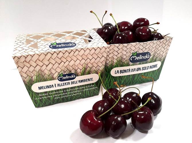 Ciliegie Melinda, una delizia buona per il palato e anche per l'ambiente Le nuove confezioni proposte dal Consorzio sono 100% plastic free, riciclabili e compostabili.