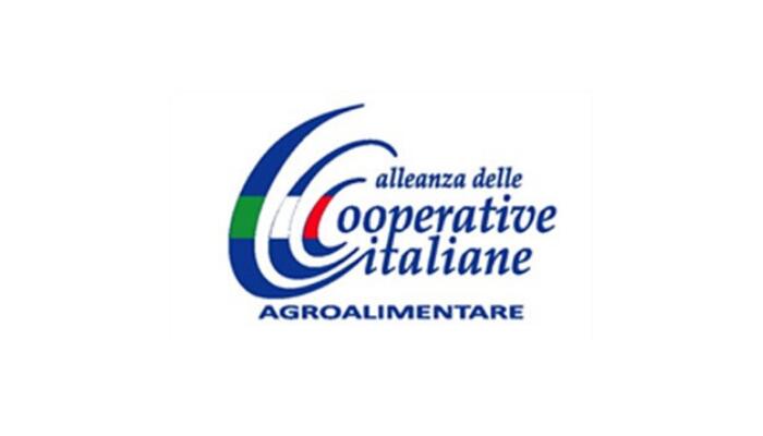 L’Alleanza Cooperative invia ai ministri Patuanelli, Cingolani, Colao e Speranza un position paper sulla strategia Ue “Farm to Fork I presidenti Mercuri (settore agroalimentare) e Buonfiglio (settore pesca) scrivono ai ministri per trasmettere un documento politico contenente un’analisi e valutazione complessiva degli obiettivi indicati dalla strategia Farm to fork delineata dalla Commissione UE nell’ambito del Green Deal.