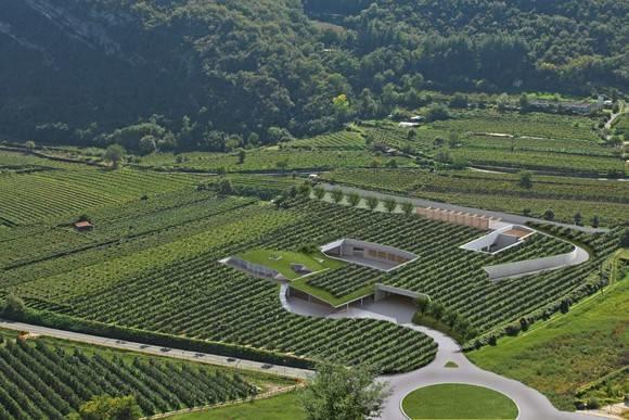 Qualità e quantità caratterizzano la vendemmia della cantina cooperativa che ha preso il via nella seconda quindicina di agosto e si concluderà tra una decina di giorni. Cantina aperta anche di domenica per il conferimento.Da una prima stima si dovrebbero superare gli 85mila quintali. Un vero e proprio record per la Cantina e i suoi 600 viticoltori soci.