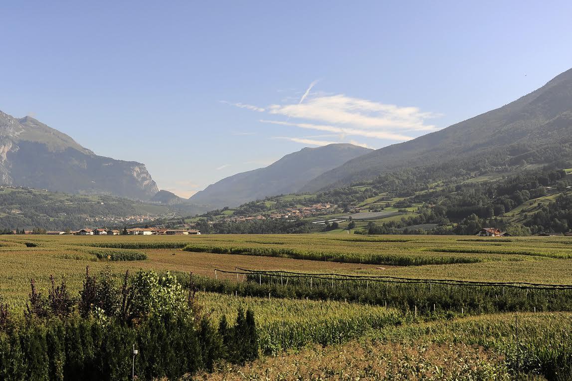Approvato dalla Giunta provinciale il disegno di legge che ridisciplina l’agricoltura biologica La Giunta provinciale, su proposta dell’assessore Giulia Zanotelli, ha approvato il ddl che detta la nuova disciplina provinciale per l’agricoltura biologica. L’obiettivo della norma è quello di riorganizzare la materia recependo le emergenti esigenze del settore, in attuazione della più recente normativa dell’Unione europea, con particolare riferimento al Regolamento (UE) 2018/848 del Parlamento europeo e del Consiglio.