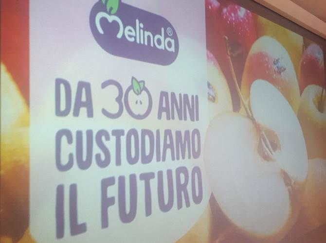 Melinda, trent’anni di storia con lo sguardo al futuro Alla presentazione dell’anniversario annunciati importanti investimenti: quarto lotto delle celle ipogee e la ristrutturazione di MondoMelindaLa superficie dedicata al biologico crescerà da 80 a 310 ettari. Rivoluzione varietà: al via le nuove mele, anche club, e nuovo sistema di misurazione della qualità della polpa.