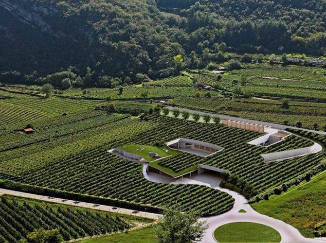 Oggi in Federazione riunione dei consiglieri e sindaci della cantina. Condivisa l’opportunità che sia un soggetto terzo a gestire questa delicatissima fase, per il bene della cantina e l’interesse dei soci. Una posizione maturata dopo una serie di confronti di approfondimento in Federazione. Sulla necessità di proporre il commissariamento concordano entrambi i candidati alla presidenza Gazzini e Moscatelli.Il consiglio si presenterà dimissionario all’assemblea di sabato prossimo, che si svolgerà regolarmente per l’approvazione del bilancio di esercizio.Fezzi: piena fiducia nell’operato della magistratura. Auspichiamo che sia fatta chiarezza quanto prima, per poter riaffidare ai soci la gestione della cantina.