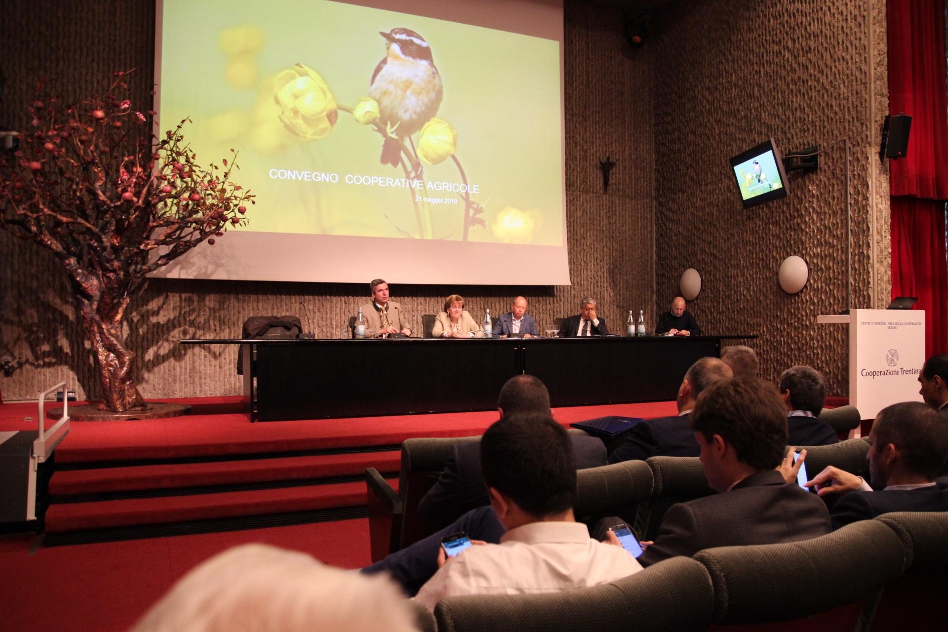 Cooperative agricole: oltre un miliardo di fatturato Ottantotto società con 18 mila 180 soci conferitori, 3mila 190 collaboratori, 1 miliardo e 37 milioni di euro di fatturato. Sono i dati di un settore che ha fatto segnare numeri rilevanti e che ha tenuto, stamani alla sala della Cooperazione, il convegno di settore.