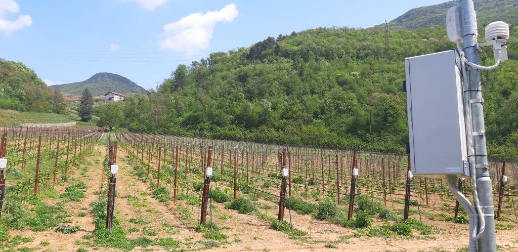 Campus Fem sempre più smart: apre i battenti il vigneto 4.0 Conclusi i lavori di infrastrutturazione del campo dimostrativo che ospiterà attività legate all'agricoltura di precisione.