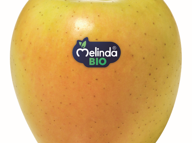 Cresce la richiesta di frutta bio. E Melinda è pronta a rispondere Il Piano Bio è stato avviato già nel 2008 e ha portato Melinda ad essere oggi la realtà trentina con le maggiori superfici destinate al biologico.