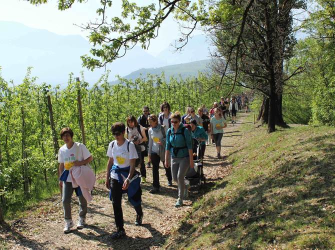 Con Melinda alla 43esima edizione della  Attesi molti turisti e famiglie di residenti alla 43esima edizione della manifestazione trentina cui il Consorzio riserverà un kit degustazione con mele, barrette di frutta e snack essiccati.