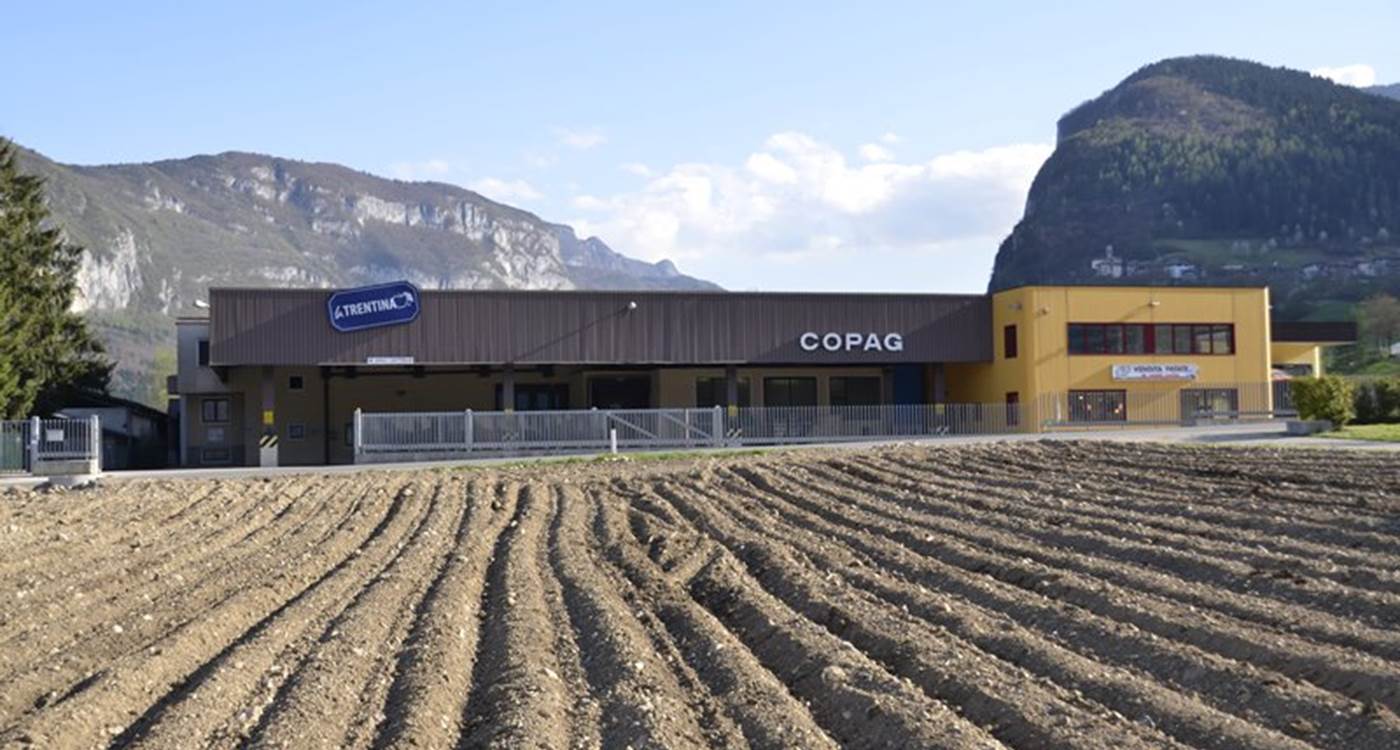 Copag - Dasindo