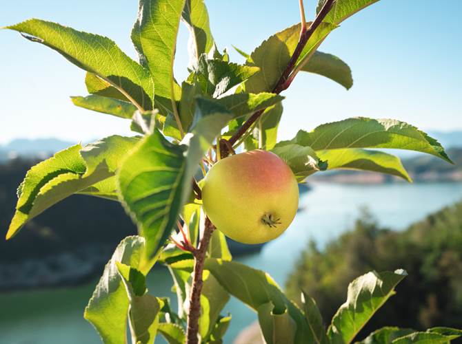 Foto ©Cooperazione Trentina - Marco Parisi