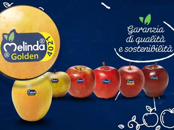 Melinda sceglie  Fino a domenica 31 marzo Melinda utilizzerà il linguaggio del format “Lezioni di Etichetta” per parlare di mela Renetta DOP e Sostenibilità sui canali RAI, TV, radio e web, nel rispetto dei principi di trasparenza e correttezza di informazione, in perfetta coerenza con lo stile di lavoro e di comunicazione del brand.