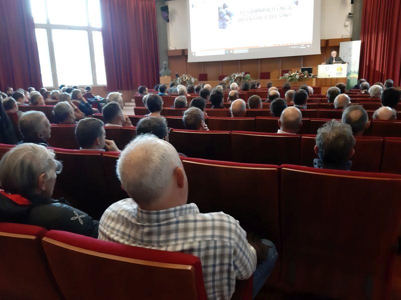 Uva: calo della produzione, ma grande annata per basi spumante e vini da invecchiamento Grande affluenza di viticoltori alla Fondazione Edmund Mach per il focus tecnico sull’andamento stagionale fitosanitario, qualità dei vini, flavescenza e cimice.