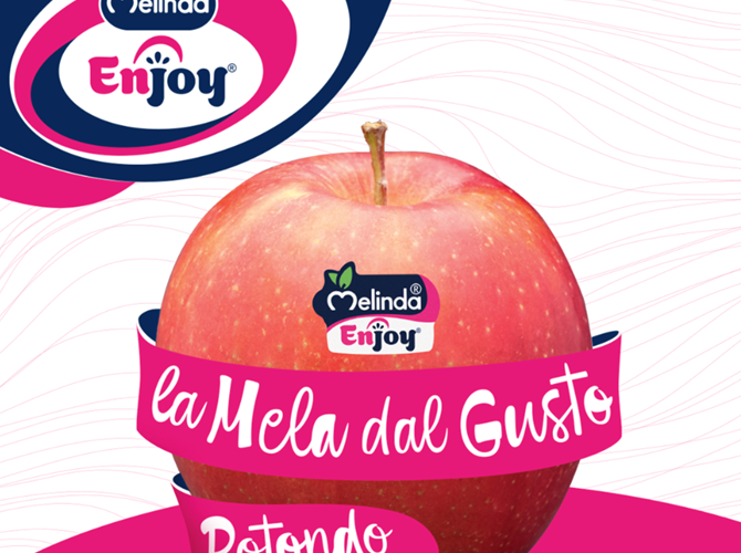 Enjoy® protagonista di un progetto speciale dedicato a grossisti e dettaglianti ortofrutticoli Nel cuore della stagione di vendita di questa mela, una delle ultime introdotte in casa Melinda, il Consorzio ha organizzato un’attività per farla conoscere più nel dettaglio a chi di frutta se ne intende.
