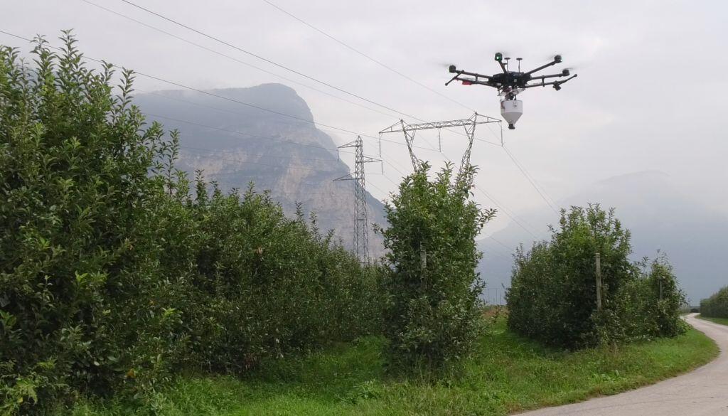 Droni in campo per rilasciare insetti sterili contro la mosca della frutta, una tecnica applicabile anche in Trentino Concluso il progetto di sperimentazione Fem che ha previsto l’analisi di fattibilità dell’applicazione della tecnica del maschio sterile per il controllo della mosca mediterranea della frutta.