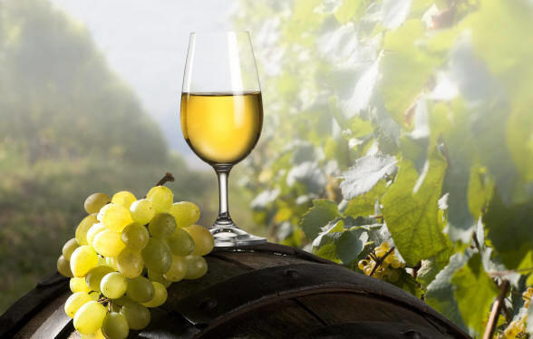 Un corso per diventare assaggiatori di vini e distillati rivolto a persone cieche e ipovedenti del Trentino Presentato a Palazzo Roccabruna il progetto formativo che coinvolge sette persone, realizzato con fondi europei e promosso da Formazione Spa, ONAV e AbC Irifor del Trentino.