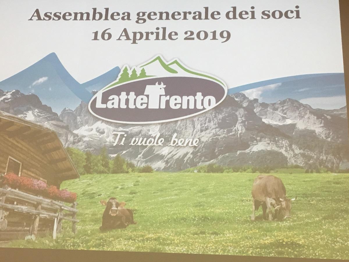 L’assemblea dei soci della Cooperativa Latte Trento approva un bilancio di grande soddisfazione. Dopo il record dello scorso anno, il prezzo del latte si mantiene a livelli tra i più alti in Italia: in media 0,55 euro al litro.Conclusa la realizzazione del caseificio, manca solo lo spaccio e il bar bianco. Sarà realizzato anche un impianto di cogenerazione.Il presidente Carlo Graziadei: le divisioni sono solo un ricordo, la cooperativa è solida e unita. Disponibili ad accogliere il 5% di nuovi soci. Ottime prospettive per il futuro.Il direttore Sergio Paoli: situazione finanziaria sotto controllo, con il nuovo caseificio possiamo concentrarci su qualità della produzione, benessere degli animali attenzione all’ambiente e nuovi prodotti. Finalmente dopo anni di assenza torneremo a distribuire direttamente il latte, yogurt e burro nei punti vendita delle Famiglie CooperativeIl valore della produzione è di 48,6 milioni. Bilancio approvato all’unanimità.L’appello dell’assessore Mario Tonina alla Federazione: la cooperazione resti unita.